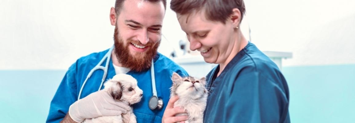 Two veterinary technologists hold young patients, one canine and one feline. Photo: stock image from Canva