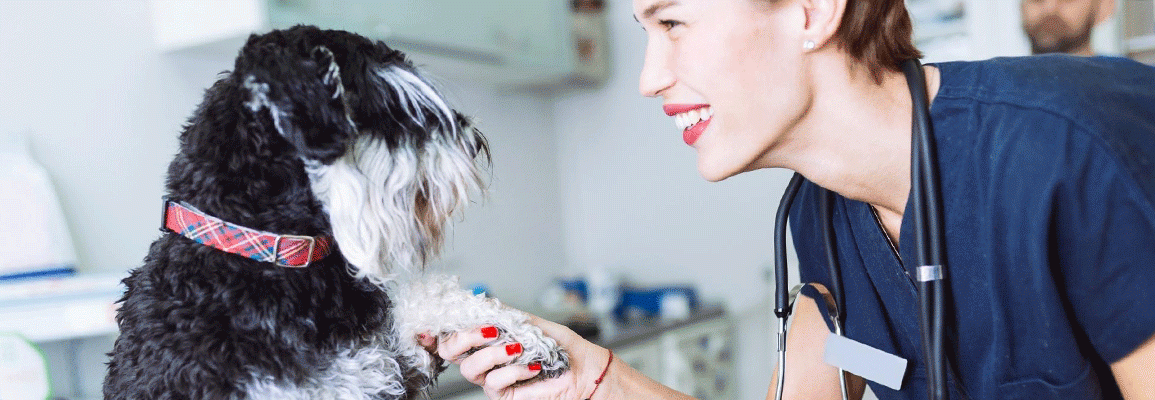 A veterinary technologist greeting a canine patient. Photo: stock image from Canva