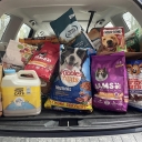 Appstate Pet Food Drive 2024